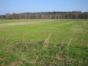 PROPERTY - NIERUCHOMOŚCI Zielona Góra