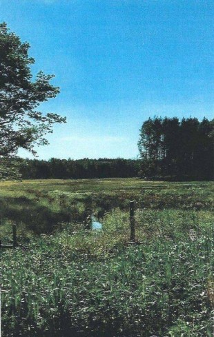 PROPERTY - NIERUCHOMOŚCI Zielona Góra