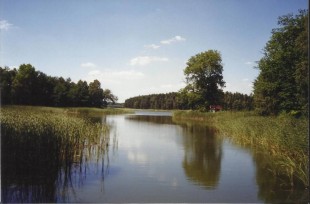 PROPERTY - NIERUCHOMOŚCI Zielona Góra