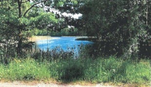 PROPERTY - NIERUCHOMOŚCI Zielona Góra