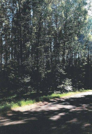 PROPERTY - NIERUCHOMOŚCI Zielona Góra
