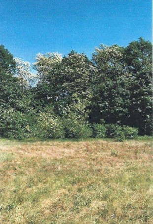 PROPERTY - NIERUCHOMOŚCI Zielona Góra